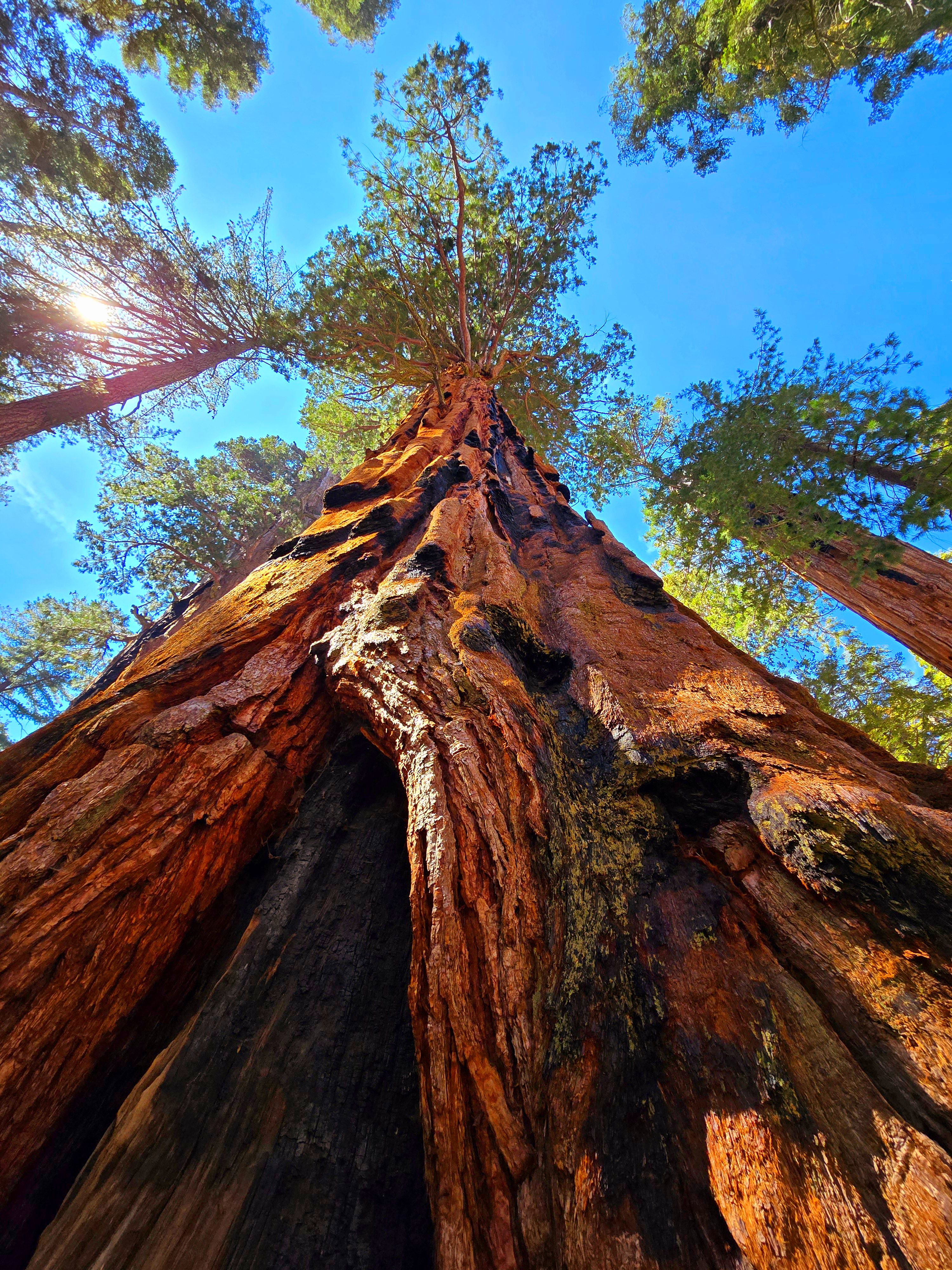 General Sherman