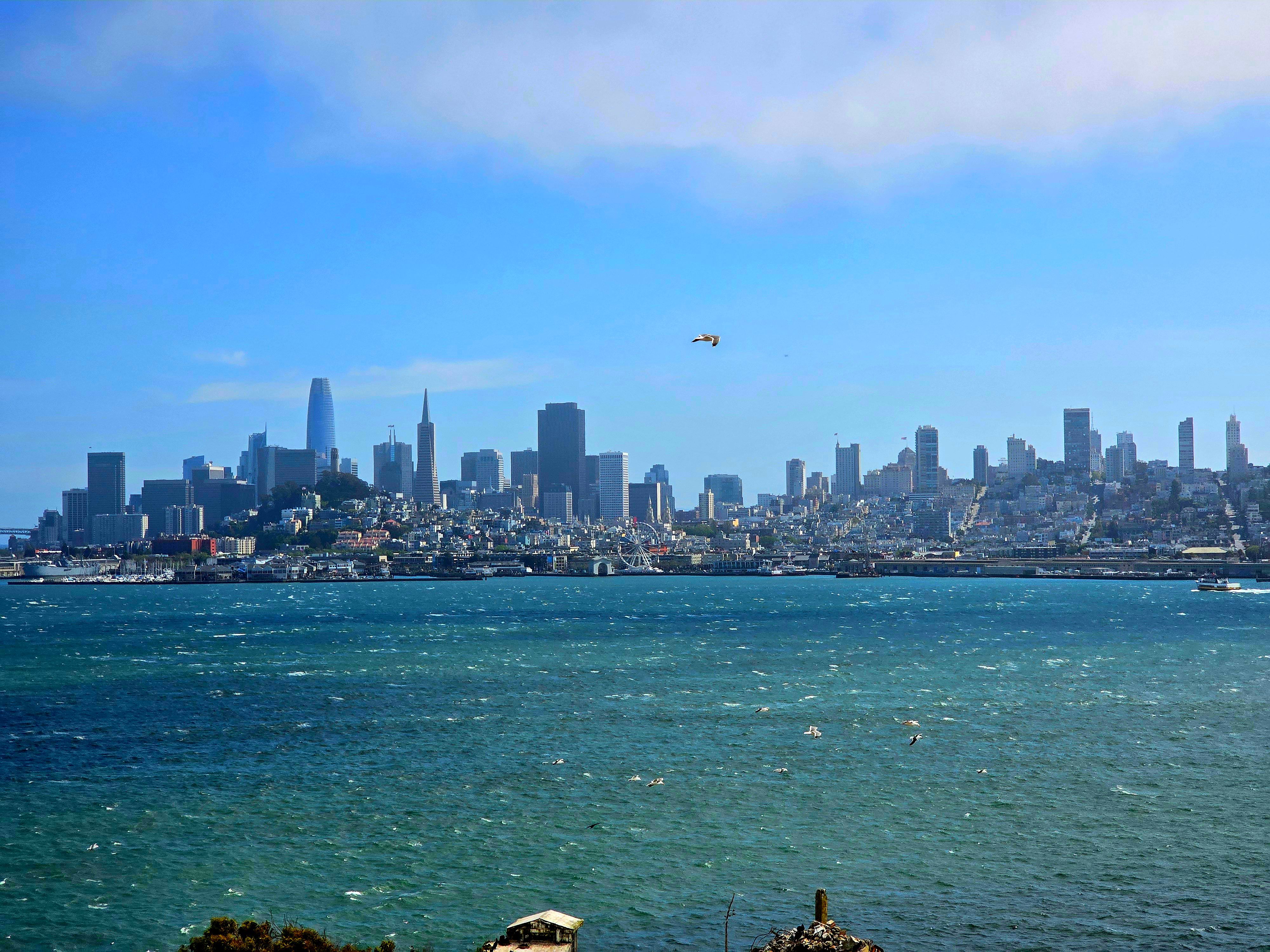 San Francisco Skyline