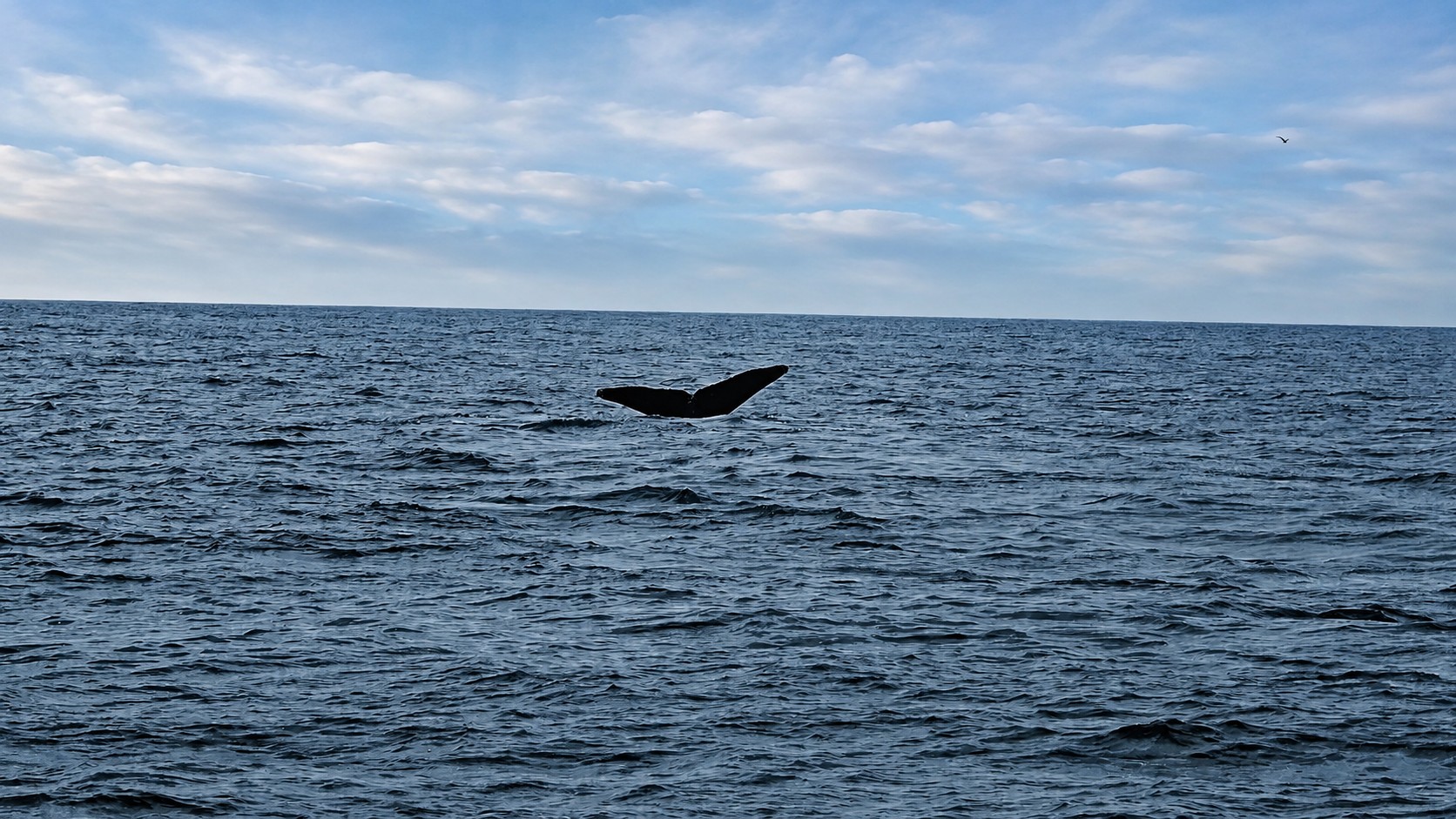 Monterey Bay