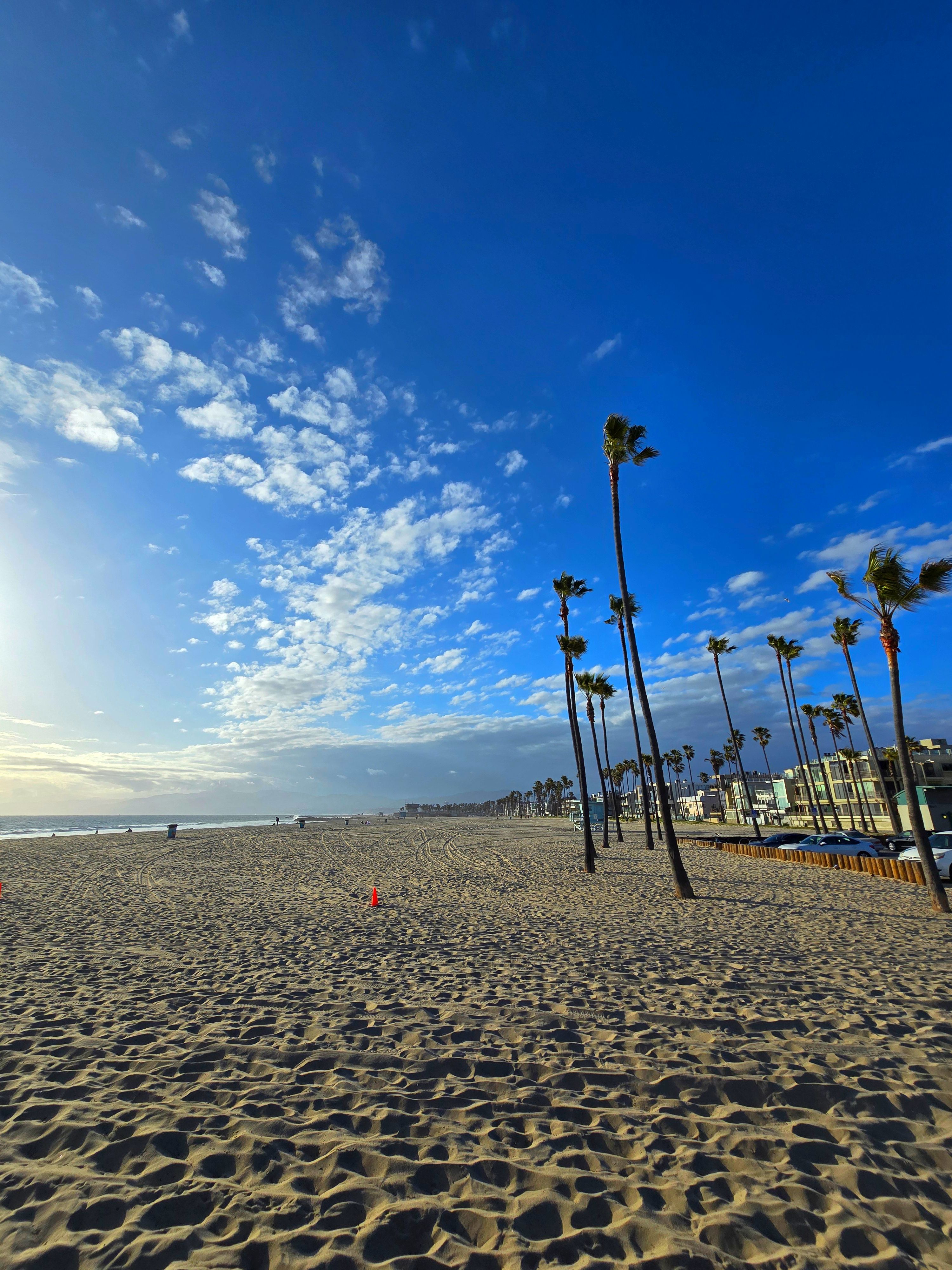Venice Beach