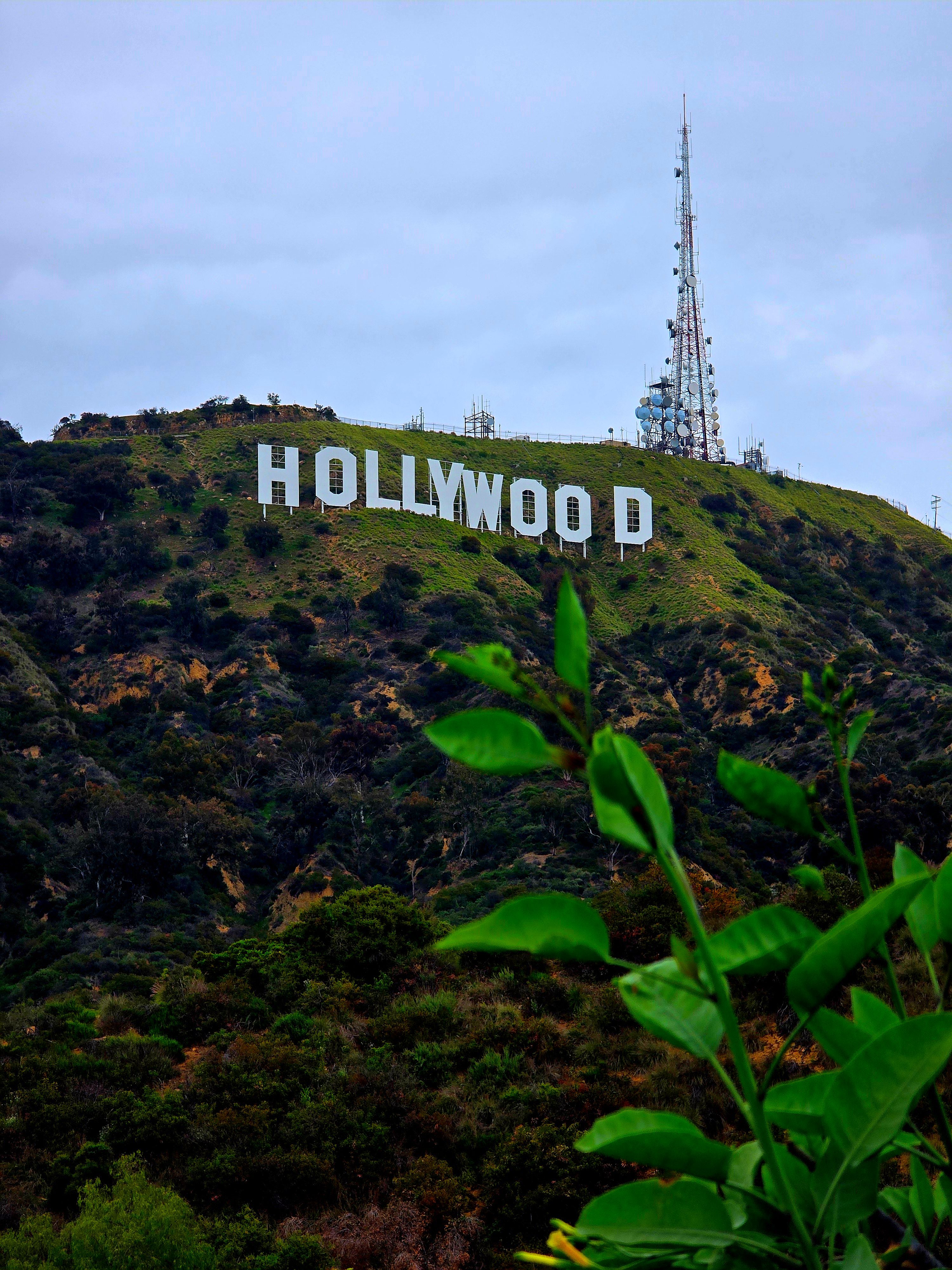 Hollywood Park